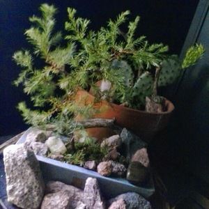 Meet your Posher, Isolated